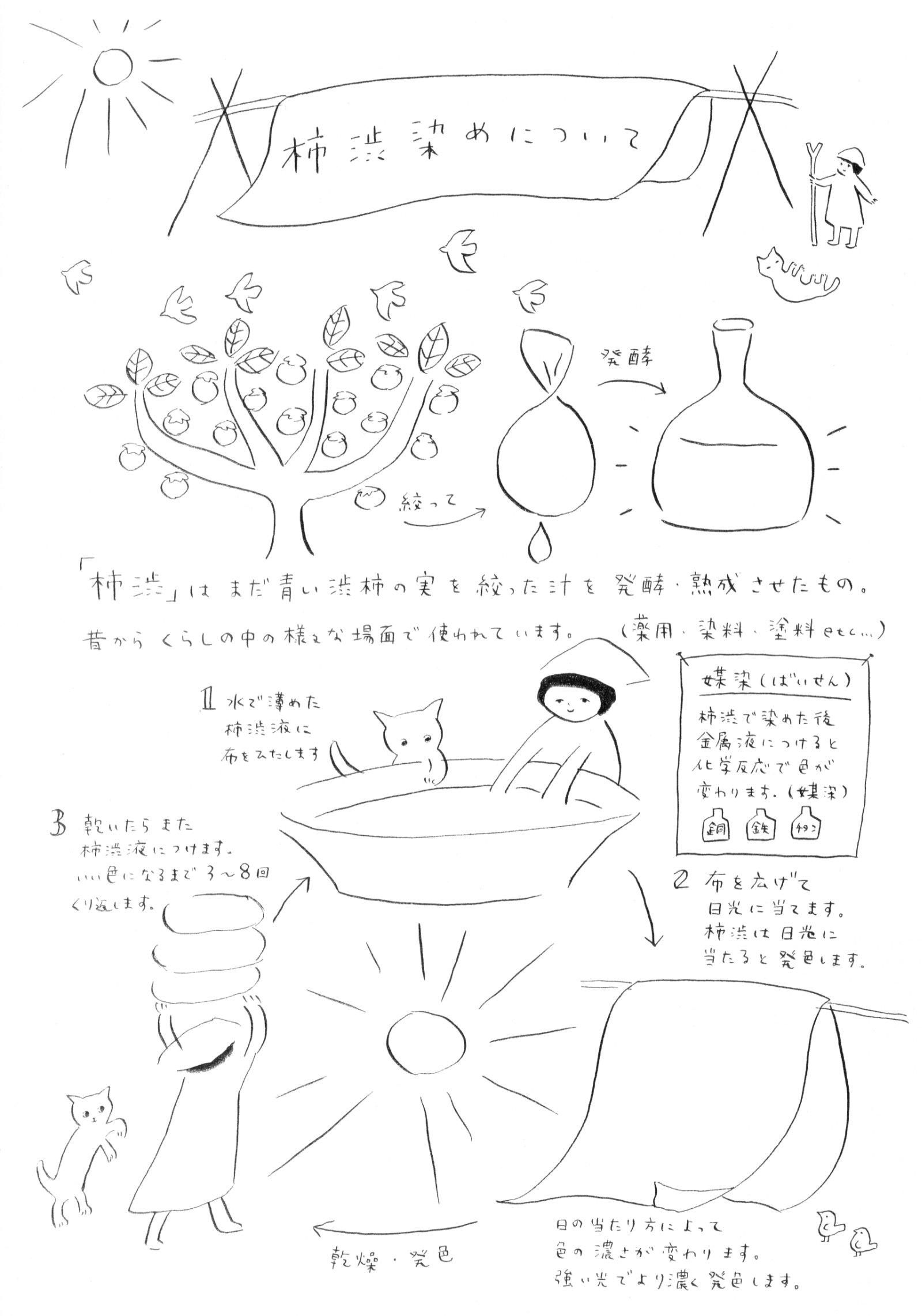 柿渋染めの説明イラスト